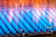 Buckhorn gas fired boilers